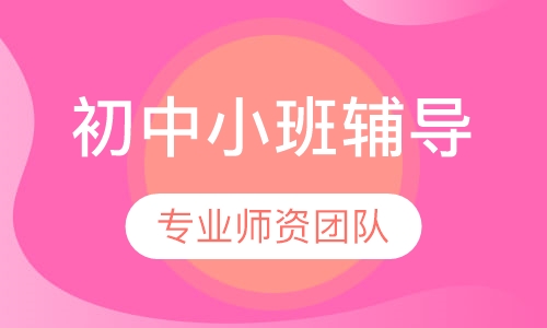 初中小班辅导
