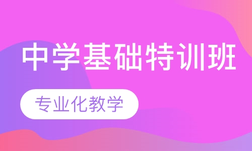 中学基础特训班