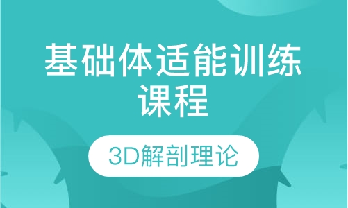 基础体适能训练课程