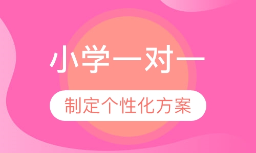 小学一对一