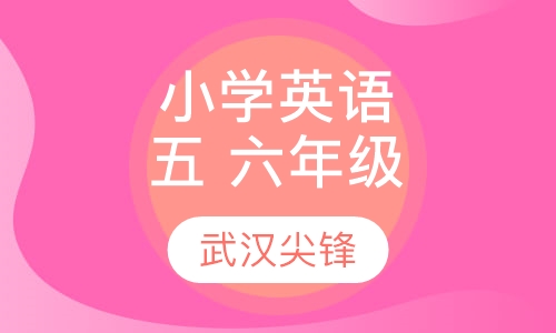 小学五、六年级英语辅导