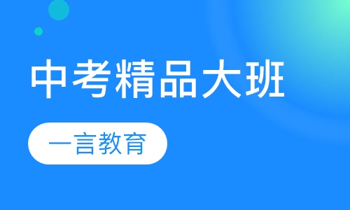 中考辅导精品大班