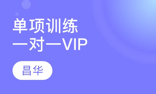 单项训练一对一VIP课程