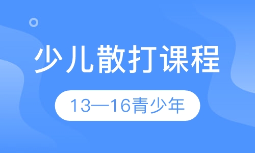 少儿散打课程