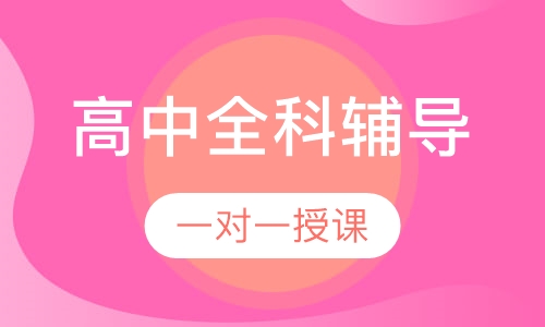 高中一对一全科辅导