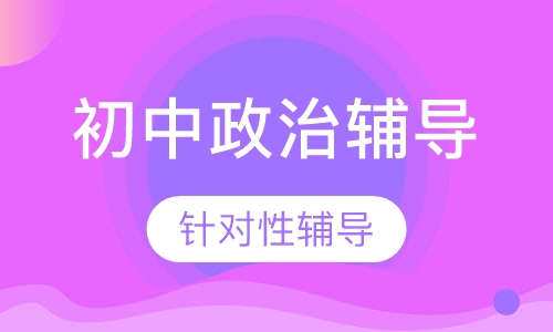 初中一对一政治辅导