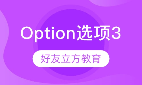 Option 选项 3