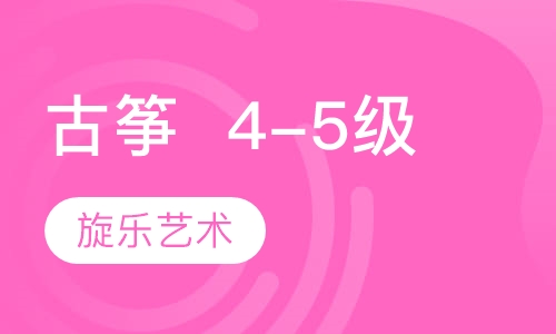 古筝 2-3人班 4-5级