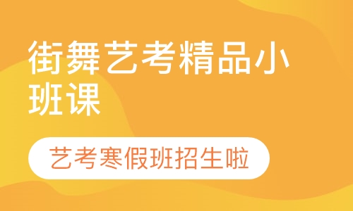 街舞艺考精品小班课