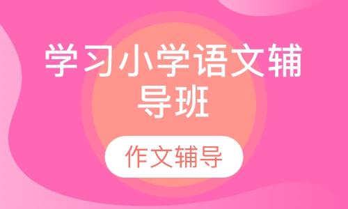学习小学语文辅导班