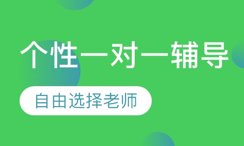 个性一对一辅导