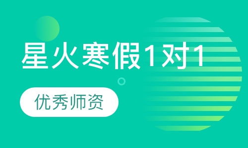 星火寒假1对1