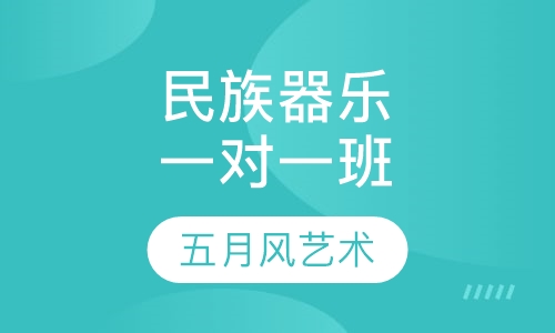 民族器乐一对一班