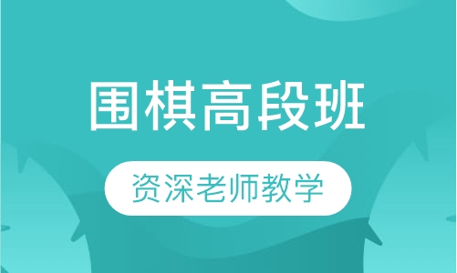 围棋高段班