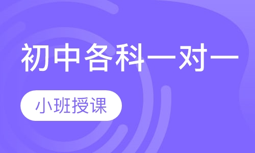 初中各科一对一