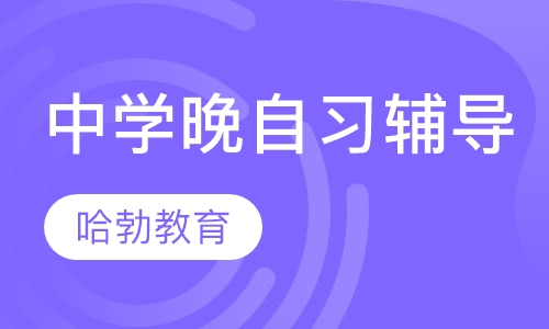 中学晚自习辅导