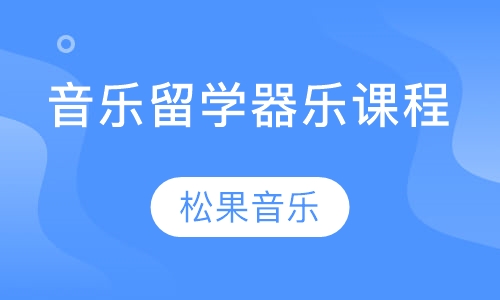 音乐留学器乐课程