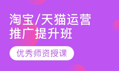 淘宝/天猫运营推广提升班
