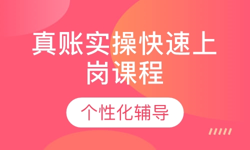 真账实操快速上岗课程