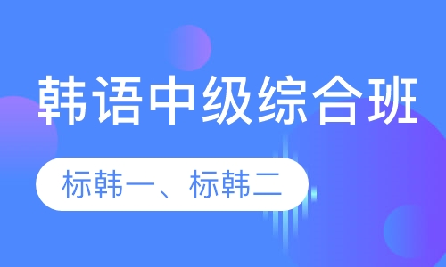 韩语中级综合班