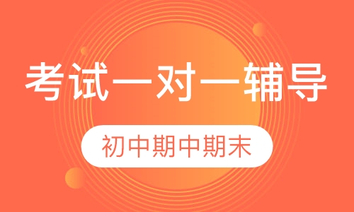 初中期中、期末考试一对一辅导