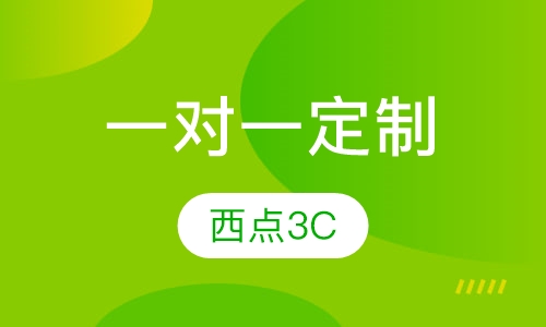 一对一定制
