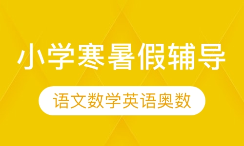 小学寒暑假辅导