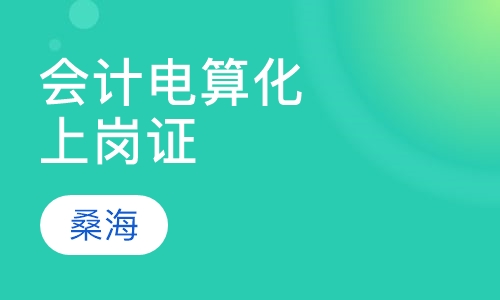 会计电算化 上岗证