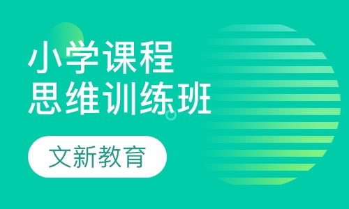 小学课程思维训练班