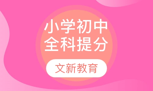 小学初中全科提分课程-中高考