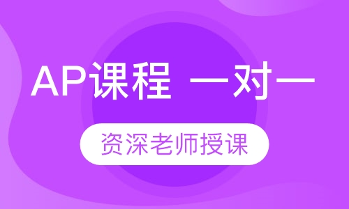 AP 一对一