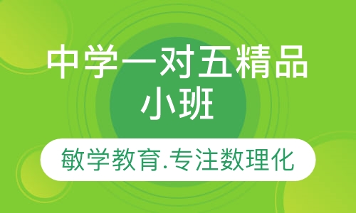 中学一对五精品小班