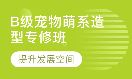B级宠物商业萌系造型专修班