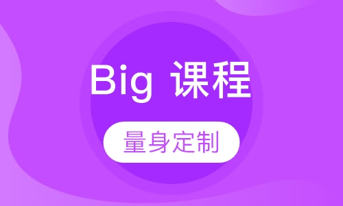 Big English系列课程（6-12）