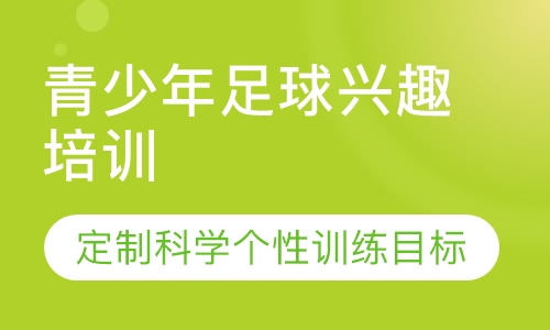 青少年足球兴趣培训