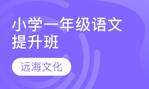 小学一年级语文提升班