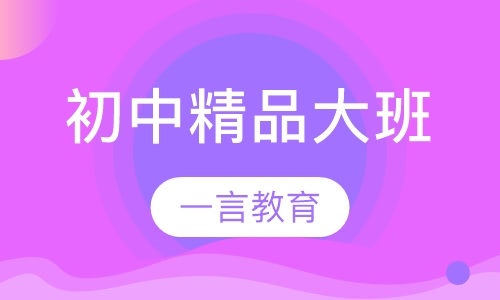 初中辅导精品大班