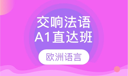 交响法语A1直达班