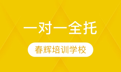 一对一全托