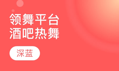 领舞平台 酒吧热舞