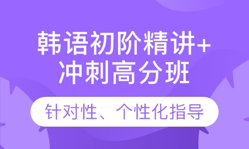 韩语初阶精讲+冲刺高分班