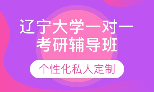 直播课辽宁大学一对一考研辅导班