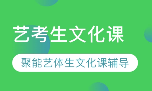 艺考生文化课辅导