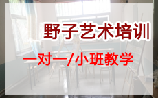 济南野子艺术培训