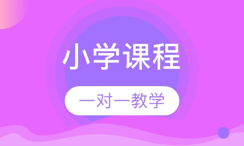 小学课程一对一教学