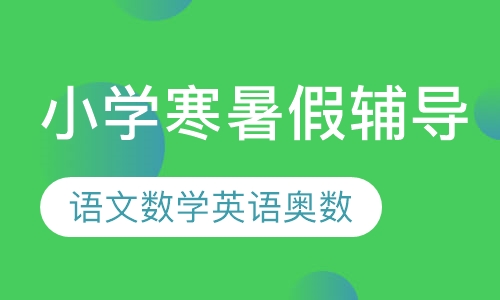 小学寒暑假辅导