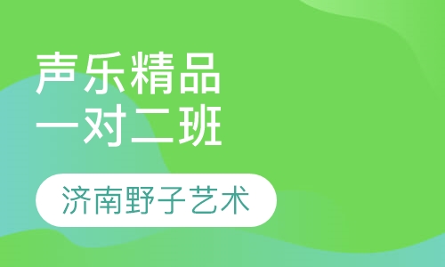 声乐精品一对二班