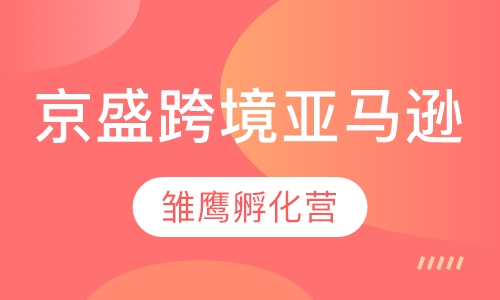 京盛跨境亚马逊“雏鹰孵化营”计划