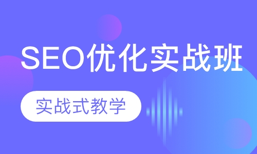 SEO优化实战班