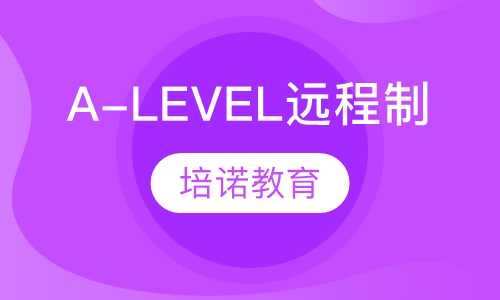 A-LEVEL远程制
